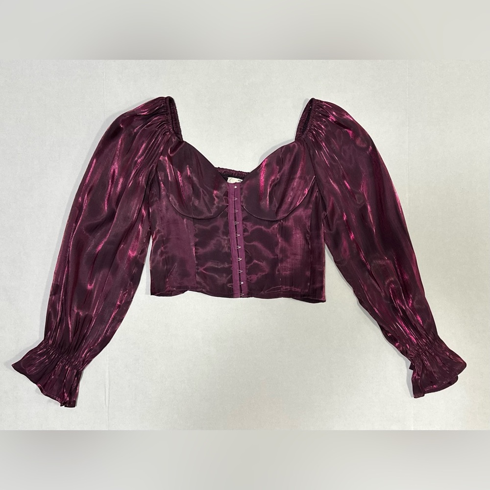Entro M Cropped Corset Puff Sleeve Shiny Whimsigoth Witchy Milkmaid Blouse